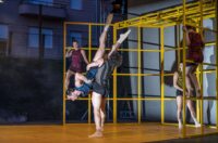 othello (16)