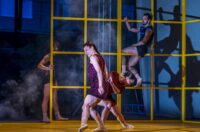 othello (18)