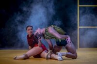 othello (20)