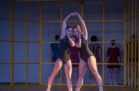 othello (5)