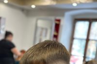 pavle_matesic-novo (10)