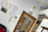 pavle_matesic-novo (5)