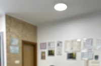 pavle_matesic-novo (8)