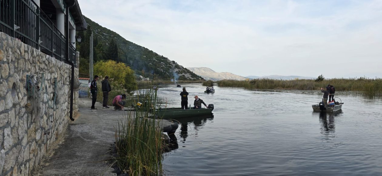 pavlov dado ribici (15)