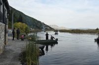 pavlov dado ribici (15)