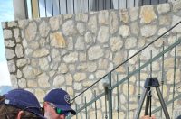 pavlov dado ribici (5)