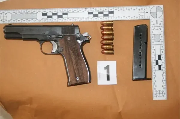 pistolj policija