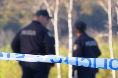 policija