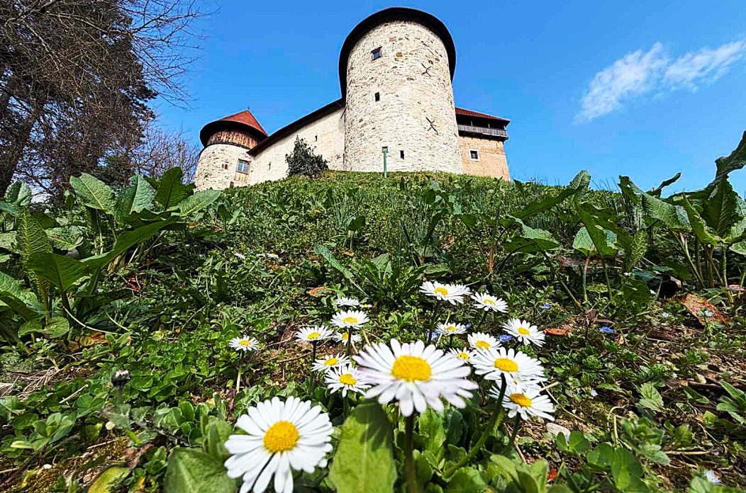 proljece (13)