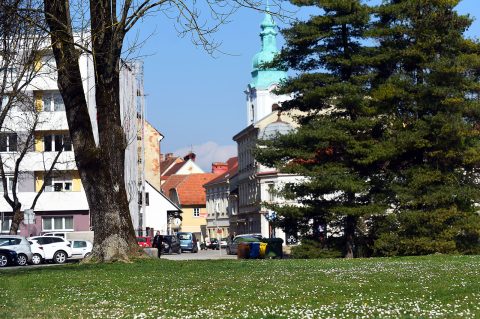 proljece (2) proljece (2)