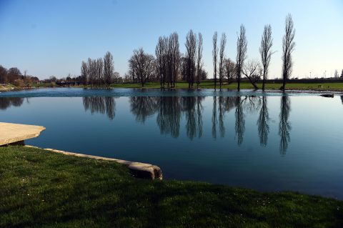 proljece (9) proljece (9)