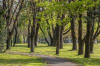 proljece ulicama (14)