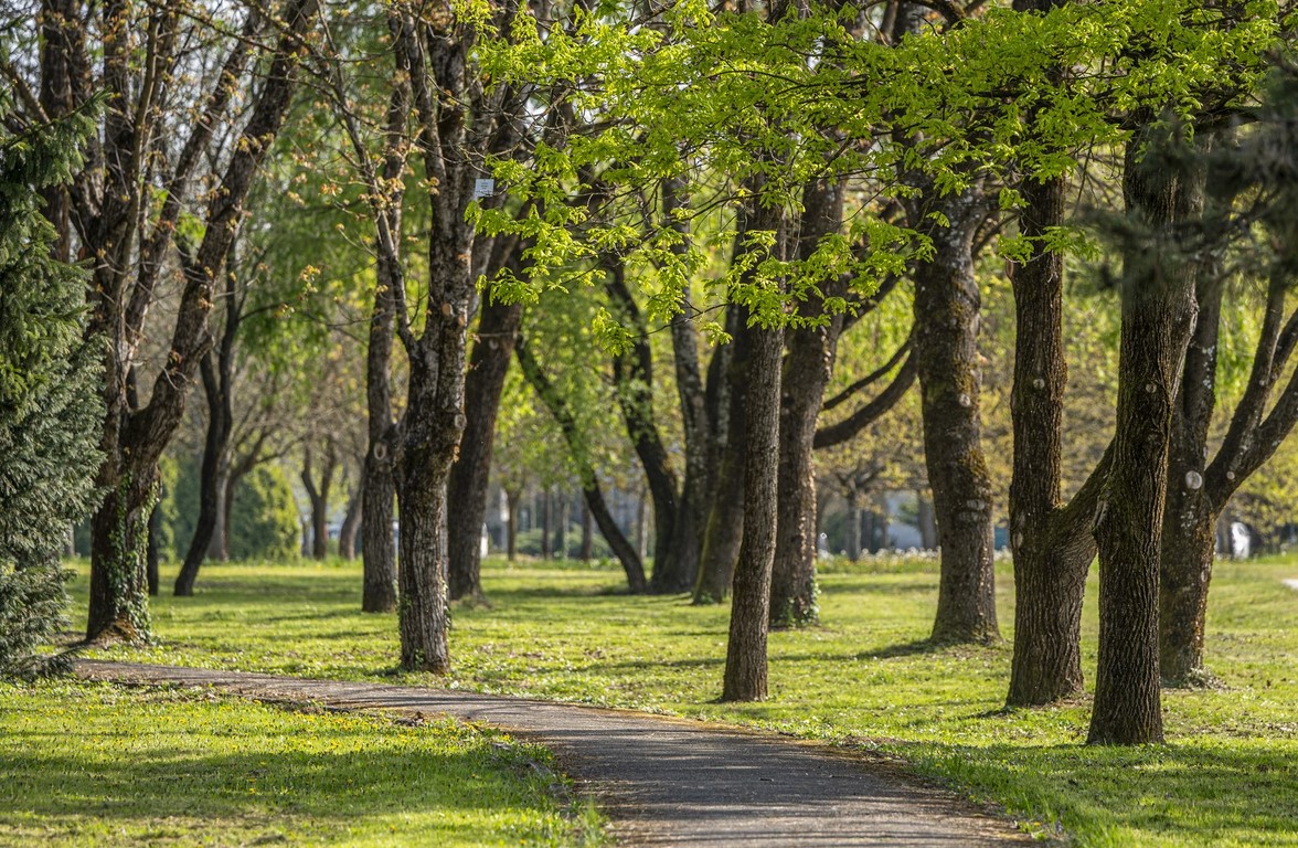 proljece ulicama (14)