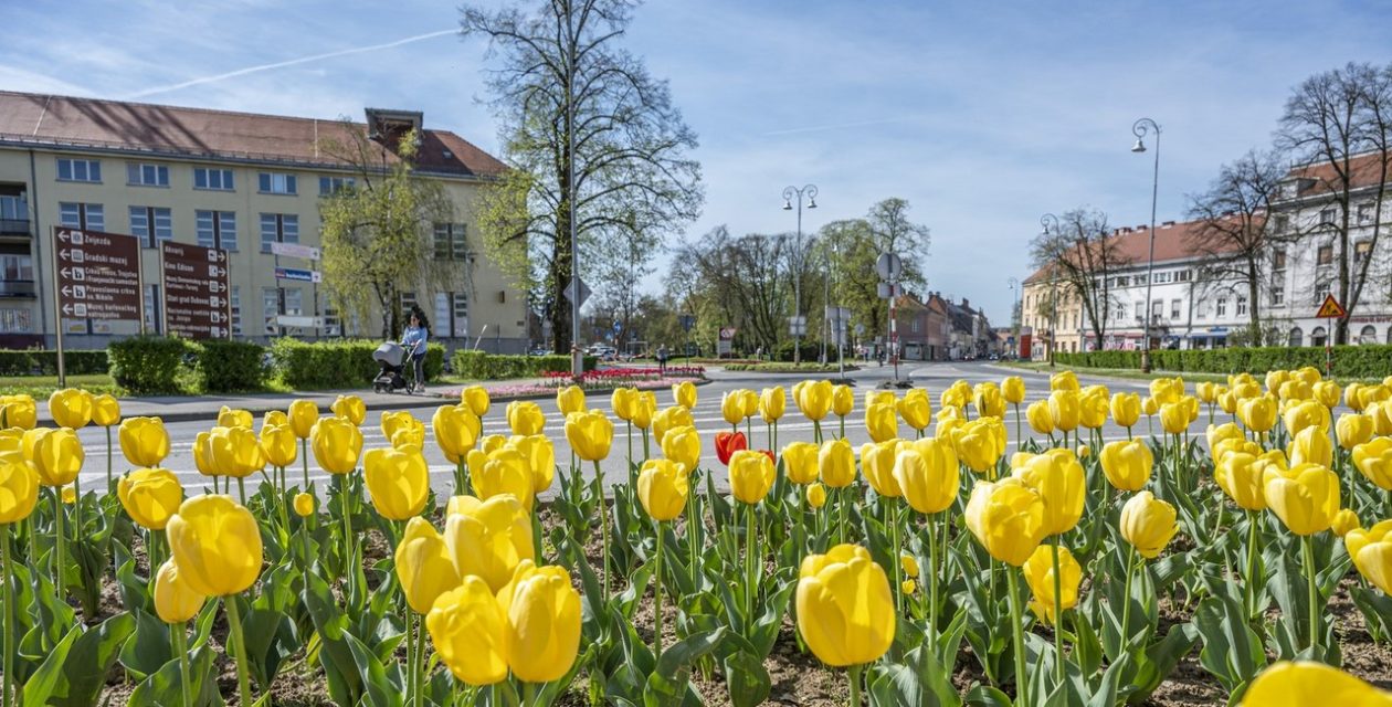 proljece ulicama (2)