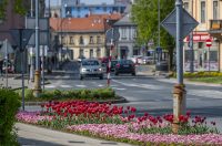 proljece ulicama (20)