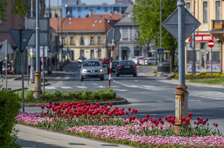 proljece ulicama (20)