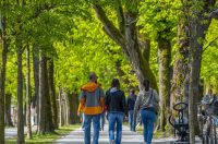 proljece ulicama (24)