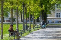 proljece ulicama (31)