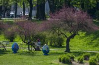 proljece ulicama (32)