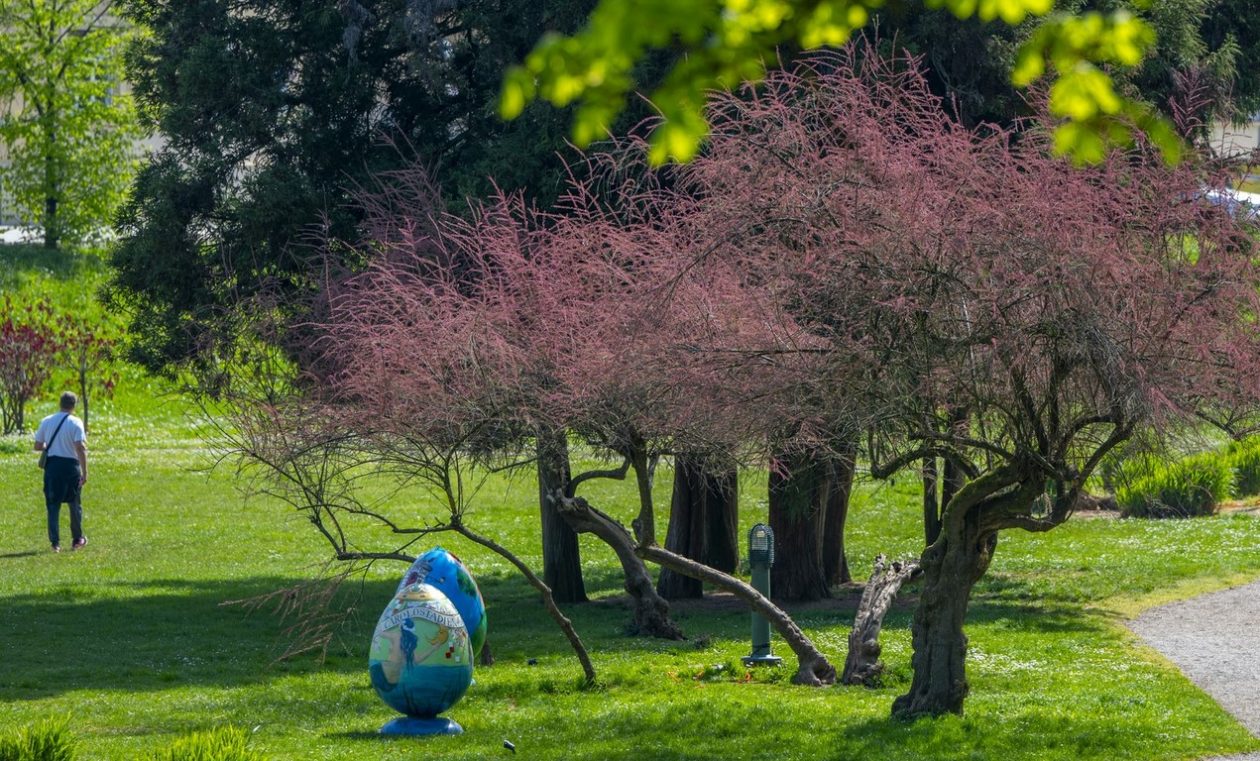 proljece ulicama (34)