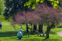 proljece ulicama (34)