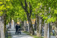 proljece ulicama (38)