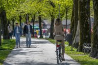 proljece ulicama (39)