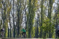 proljece ulicama (42)