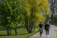 proljece ulicama (7)