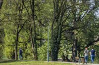 proljece ulicama (9)