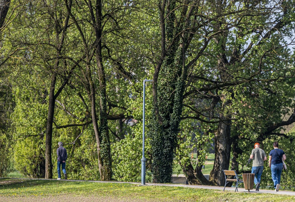 proljece ulicama (9)