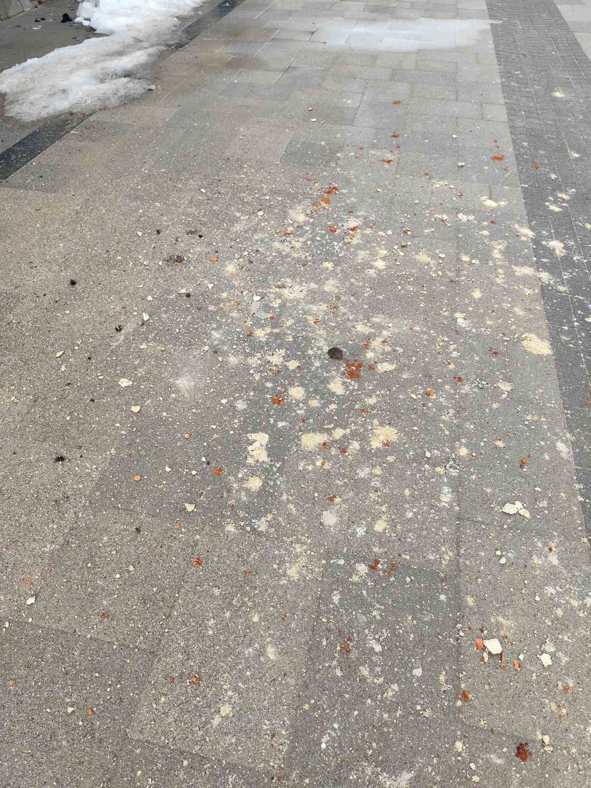 radiceva zgrada urusavanje straza (1)