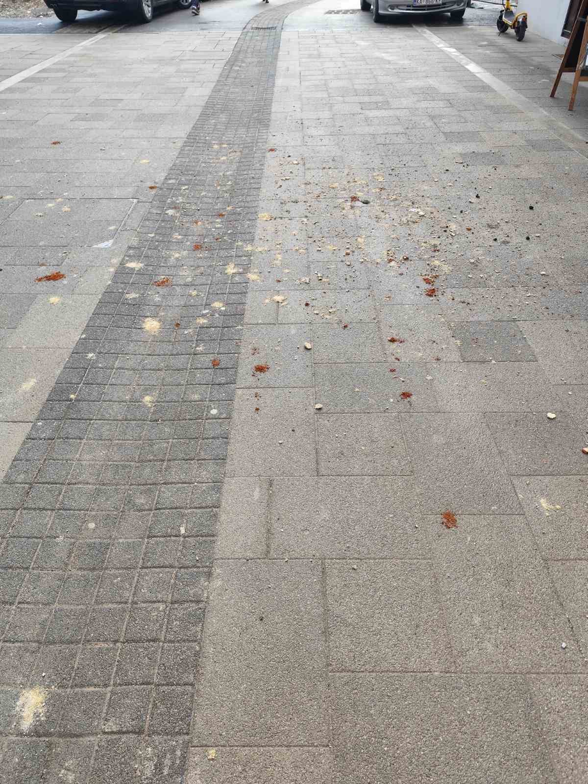 radiceva zgrada urusavanje straza (3)