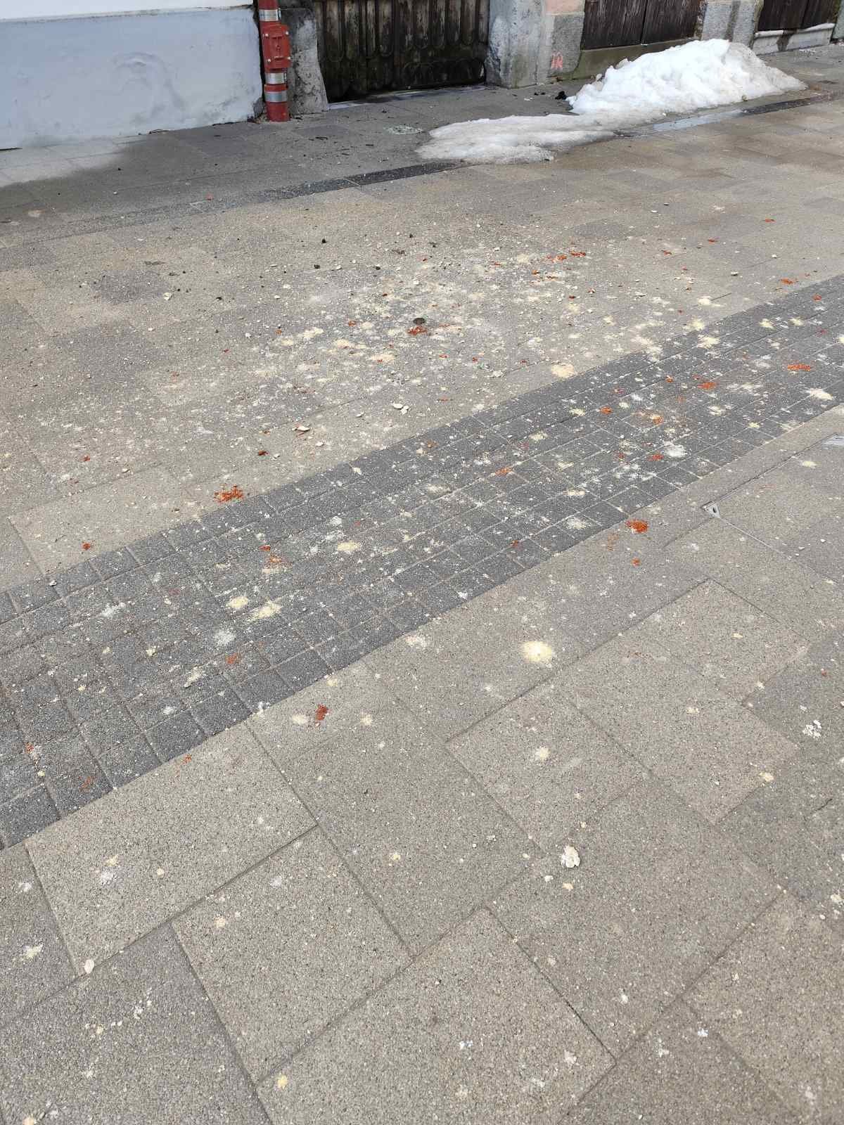 radiceva zgrada urusavanje straza (4)