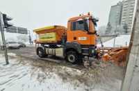 ralica snijeg zima (2)