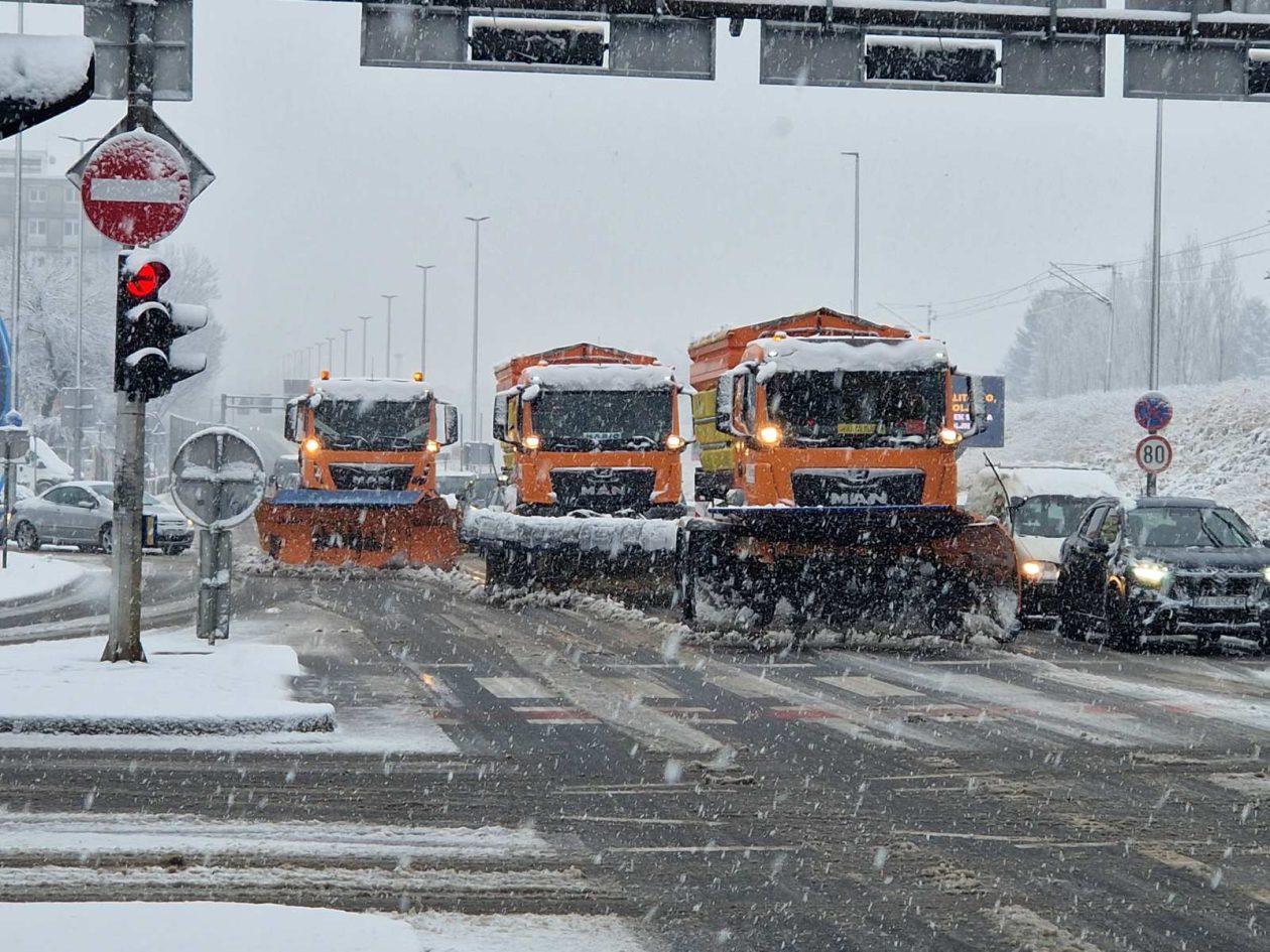 ralica snijeg zima (4)