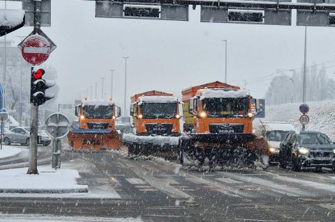 ralica snijeg zima (4)