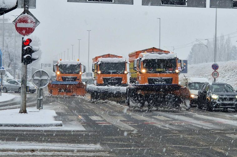 ralica snijeg zima (4)