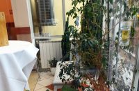 restoran bosiljevo (30) restoran bosiljevo (30)