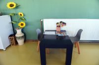 restoran petica (17)