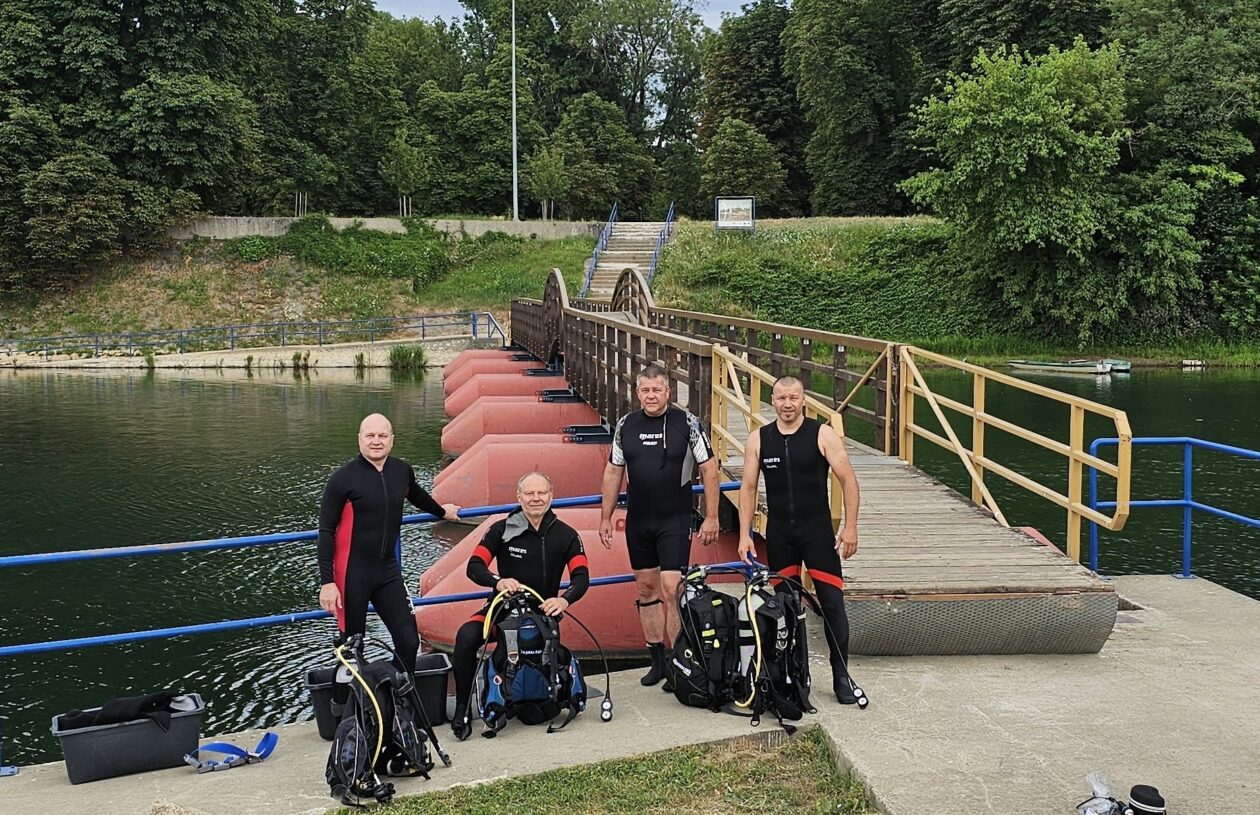 ronioci (6) ronioci (6)