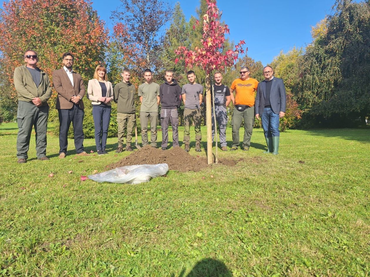 sadnja.-arboretum sadnja.-arboretum