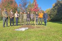 sadnja.-arboretum sadnja.-arboretum