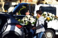 sisvete (1) sisvete (1)