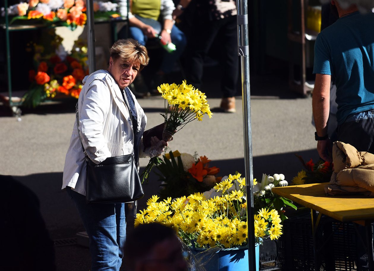 sisvete (11) sisvete (11)