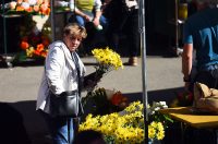 sisvete (11) sisvete (11)