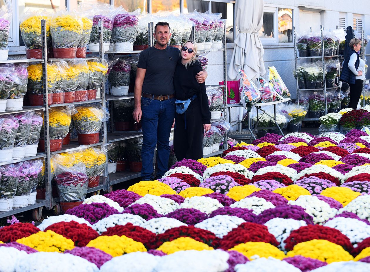 sisvete (12) sisvete (12)