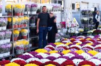 sisvete (12) sisvete (12)