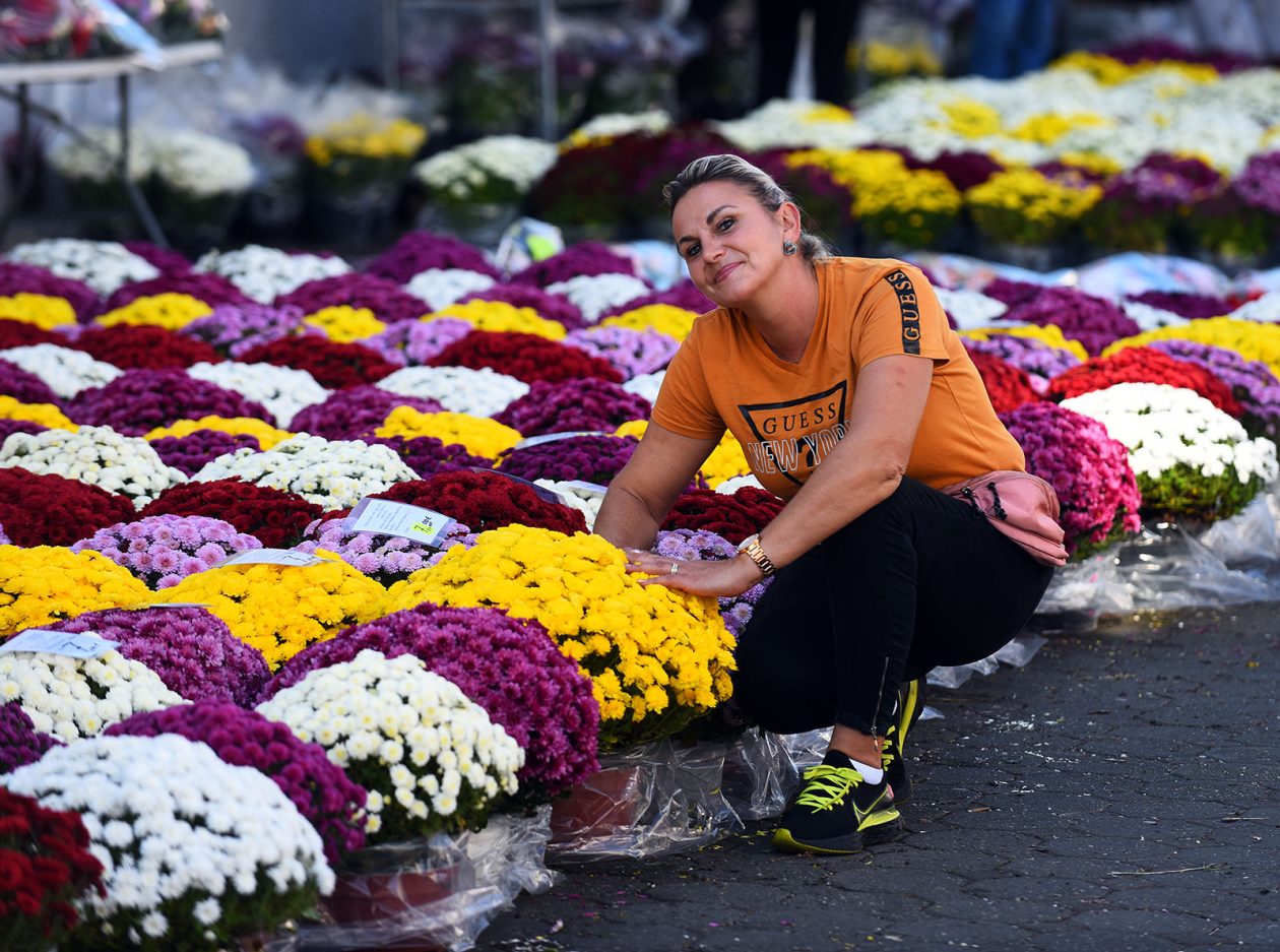 sisvete (13) sisvete (13)