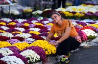 sisvete (13) sisvete (13)